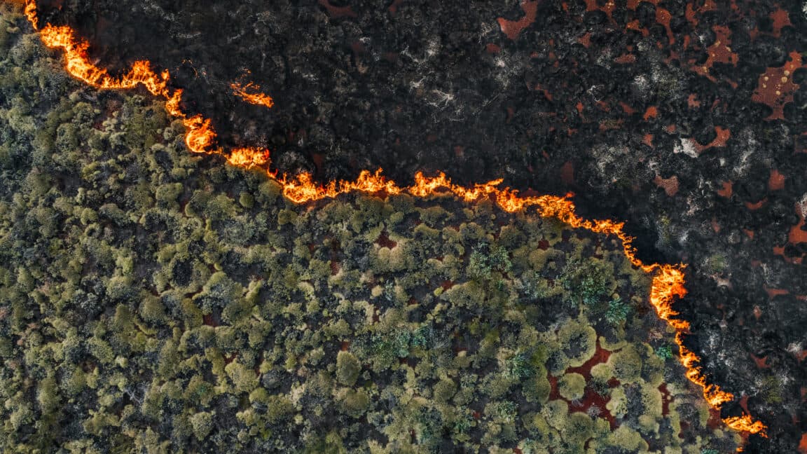 Senators advocating for regulation of wildfire prediction markets to prevent arson.