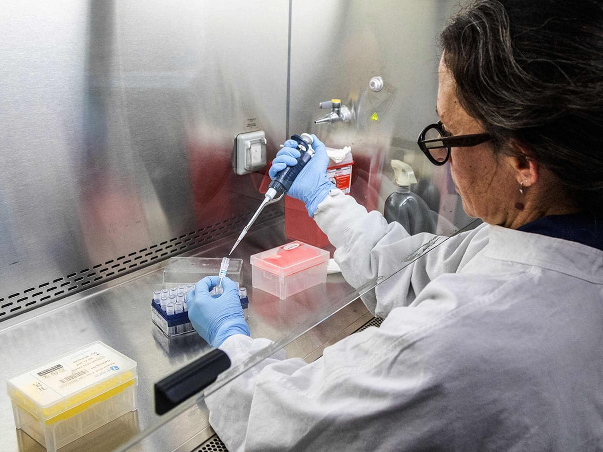 Saudi Arabia Monitors Hantavirus Cases Linked to Cruise Ship with Low Risk Assessment