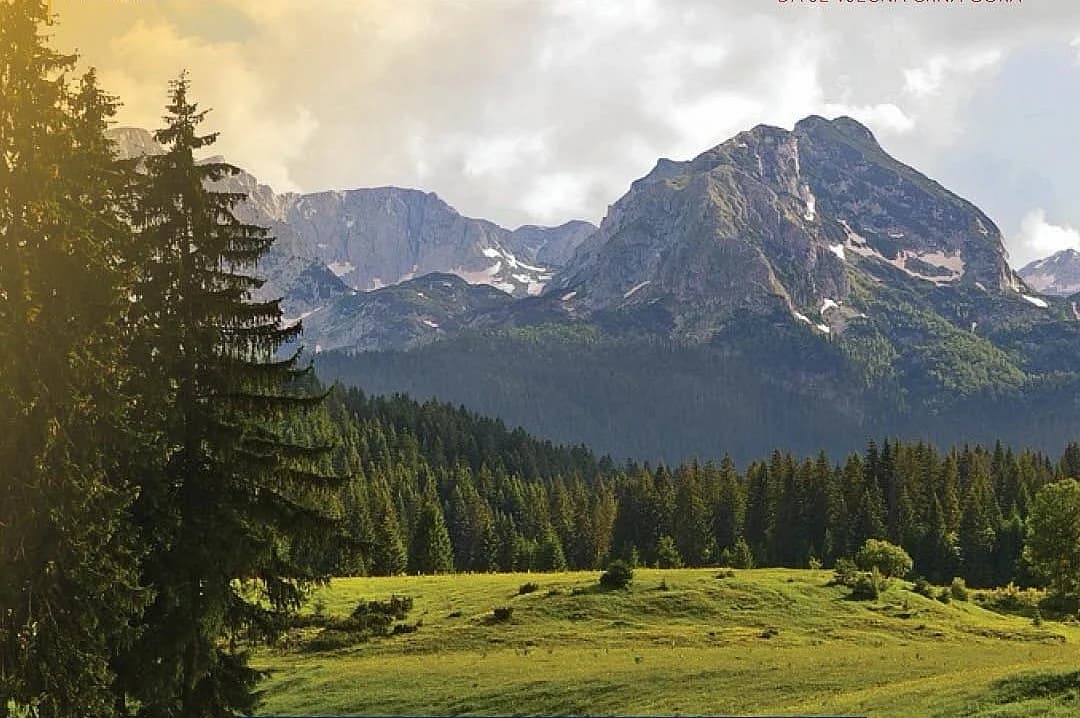 UAE residents exploring the scenic landscapes of Montenegro.
