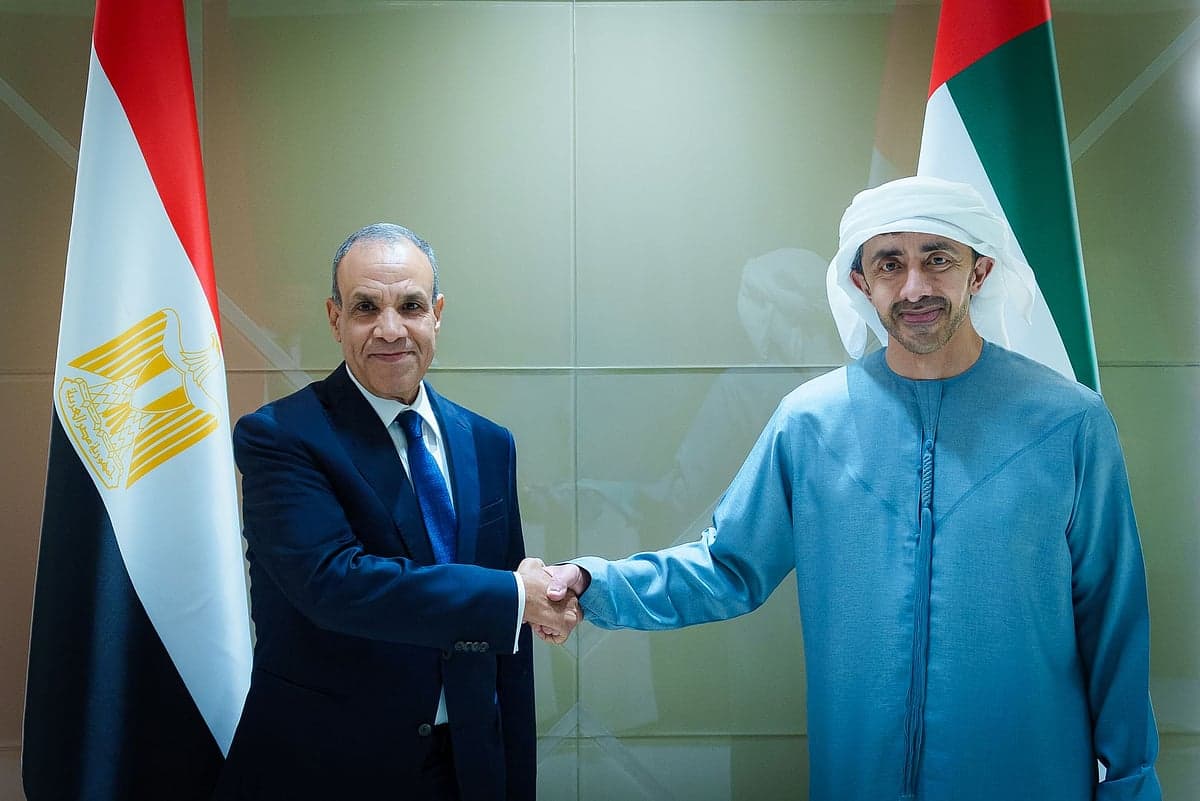 UAE and Egypt foreign ministers discussing regional developments