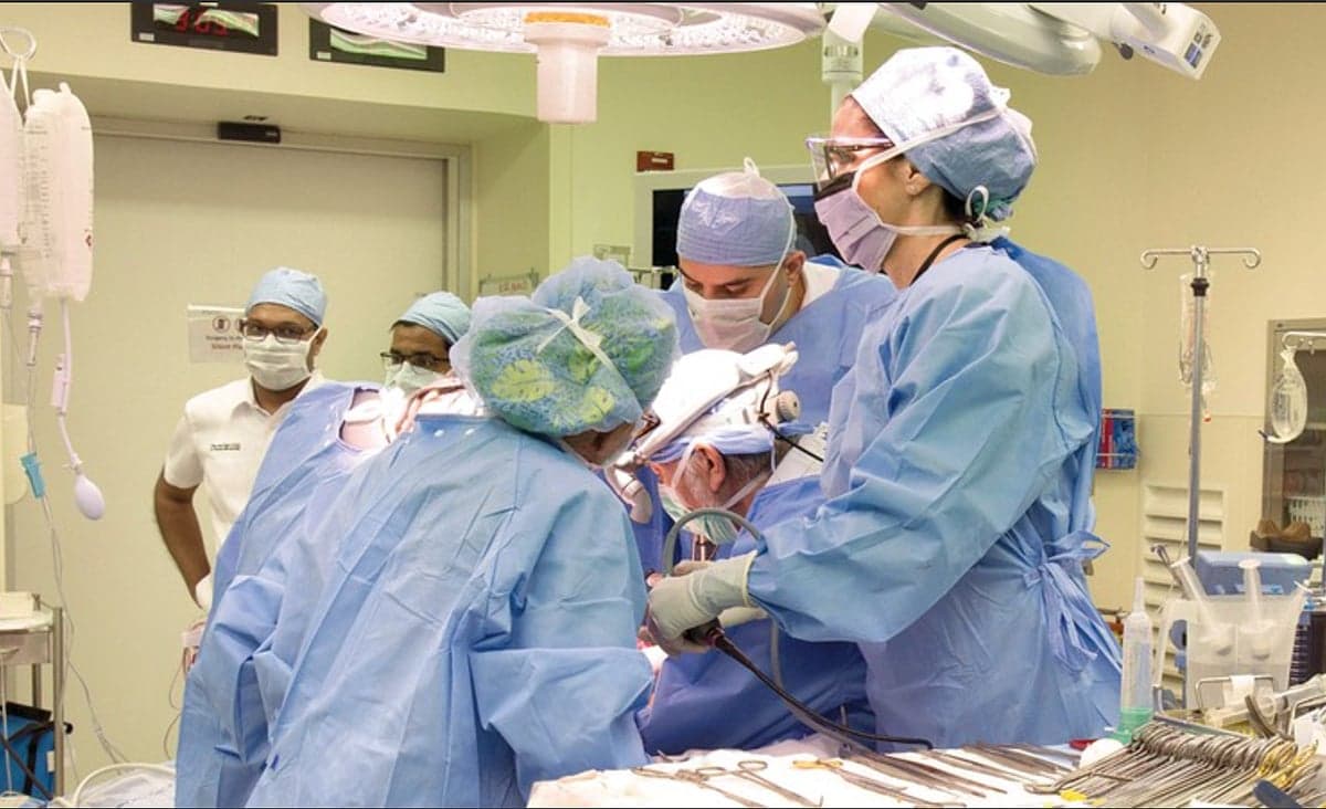 A visual representation of the impact of the UAE's Hayat organ donation program on patient lives.