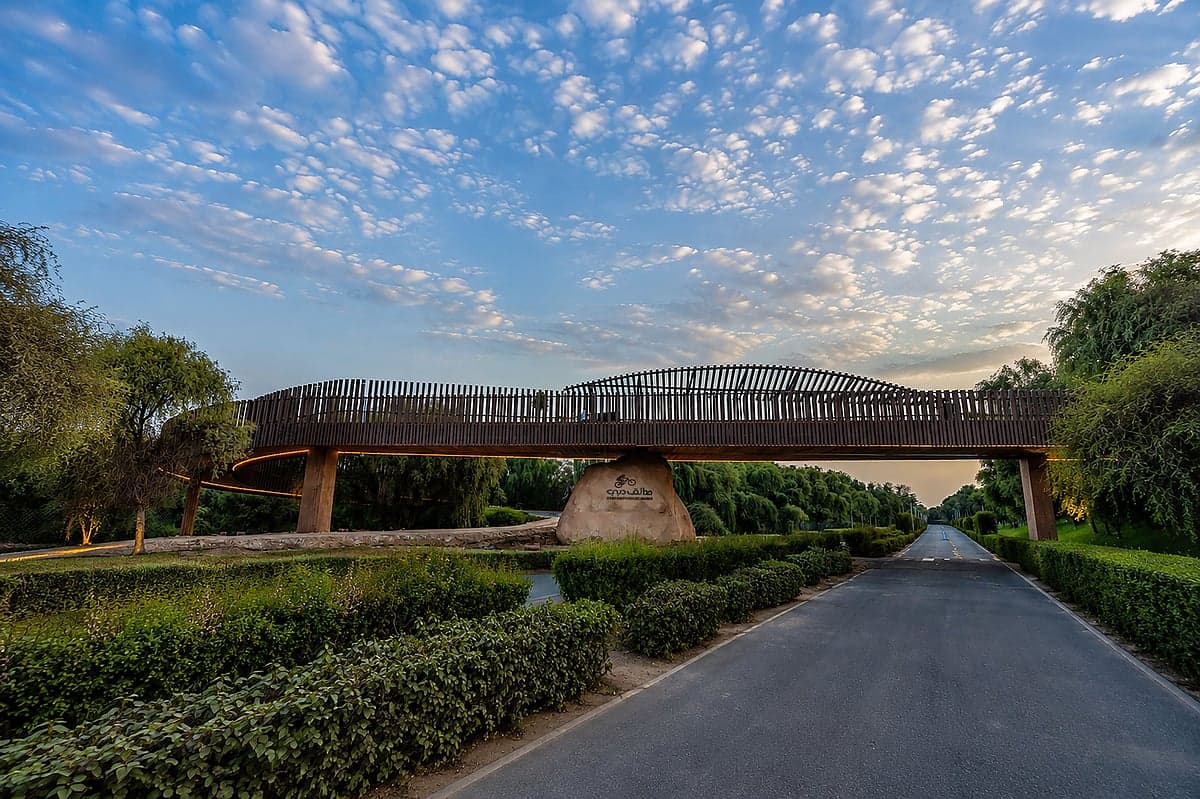 A vibrant scene of the new bridge at Mushrif National Park, highlighting cyclists and hikers enjoying the outdoors.