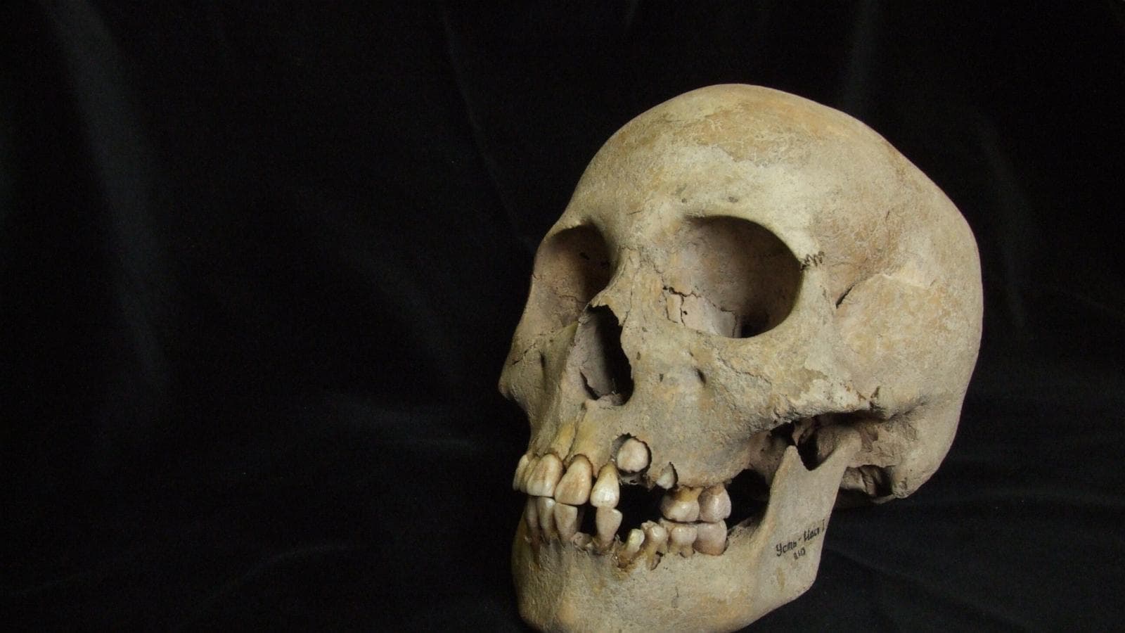 Earliest evidence of plague discovered in Siberia dating back 5500 years