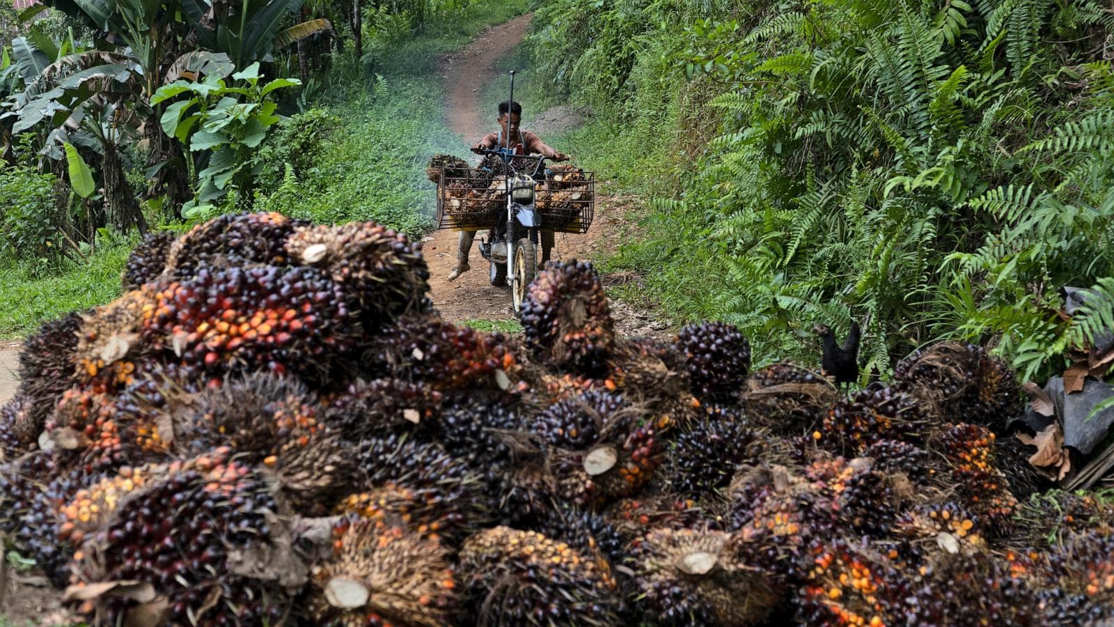 Indonesia's strategic trade policy changes and global market implications
