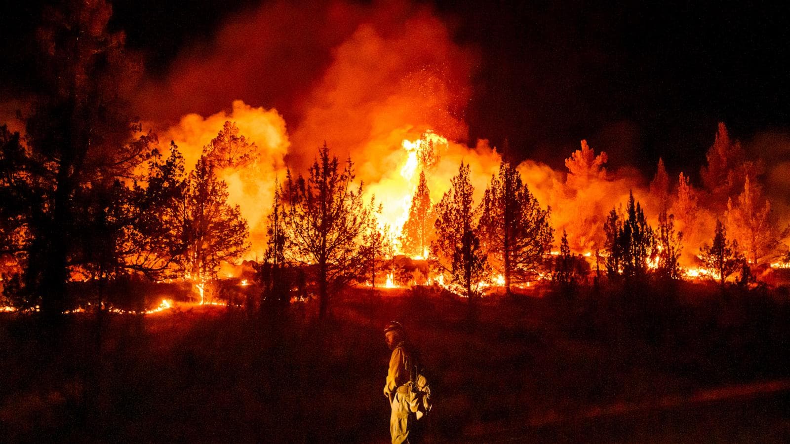 A graphic showing the contrast between global burning rates and wildfire severity in different regions.