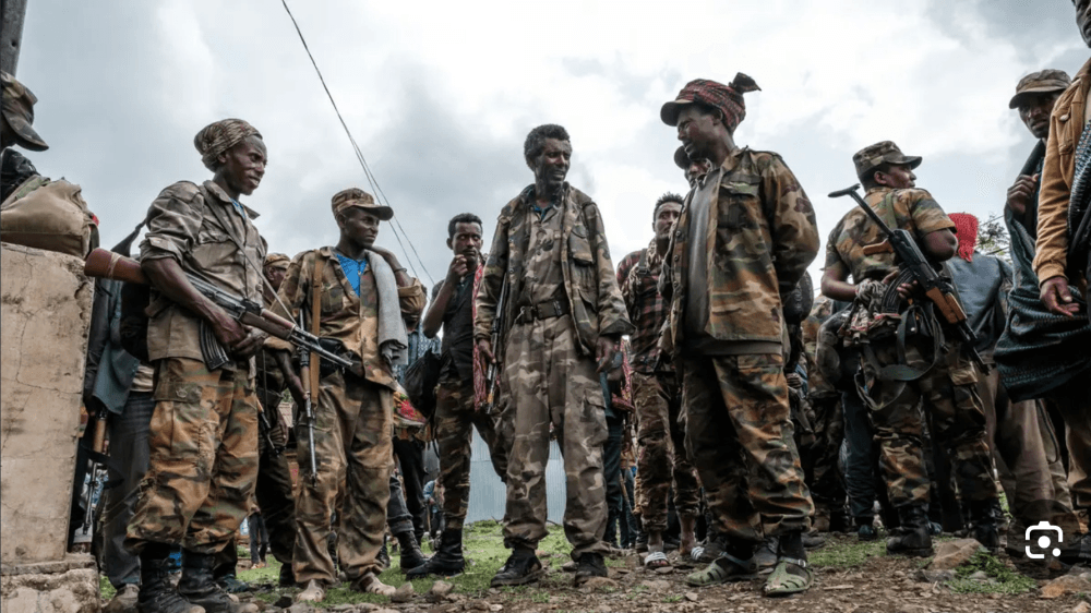 Infographic depicting the seven armed groups in Ethiopia's alliance against the federal government.