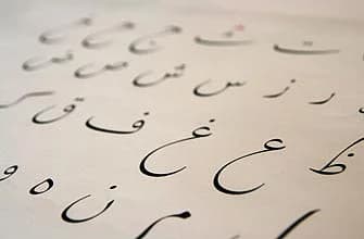 UAE to Introduce New Arabic Language Law by 2027