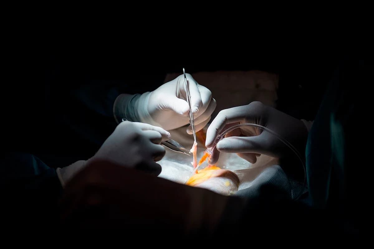 A medical professional performing an organ transplant in a hospital setting.