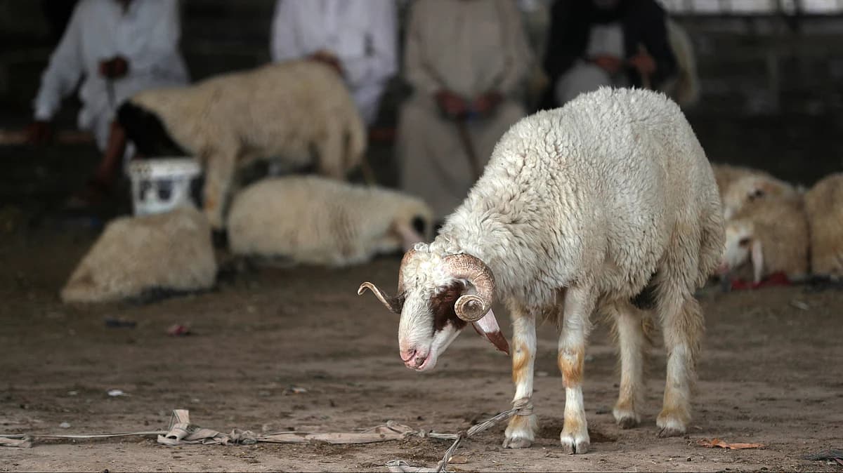 Dubai Police warning about summer travel and Eid Al Adha scams