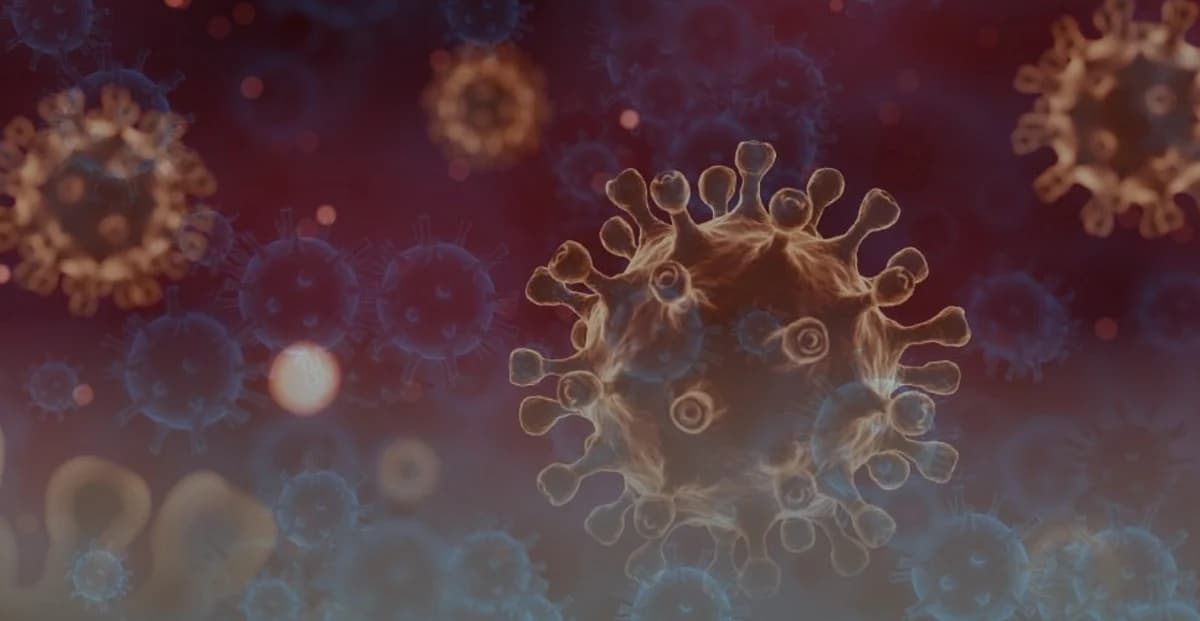 UAE Authorities Confirm Readiness to Address Ebola Virus Threats