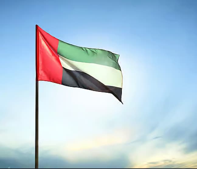 UAE and Algerian flags with wildfire smoke in the background, representing solidarity during a crisis.