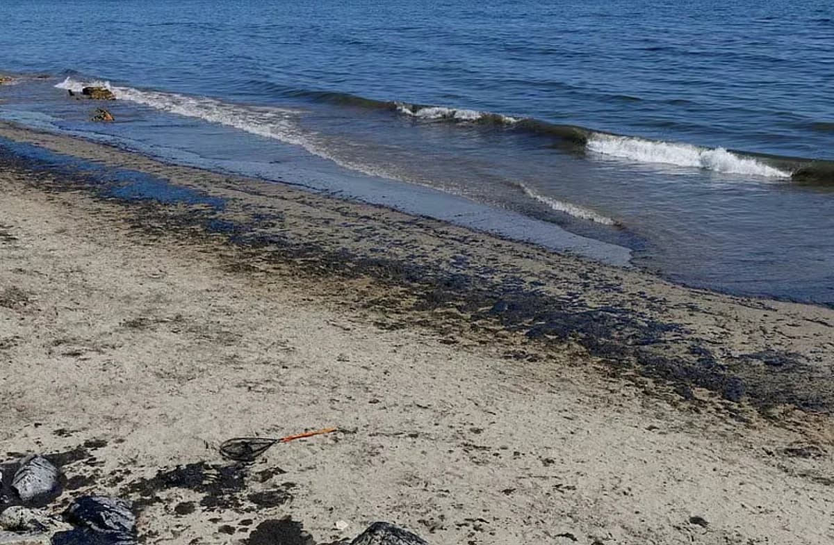 Coastal cleanup crew addressing a UAE tanker oil spill along the Umm Al Quwain shoreline