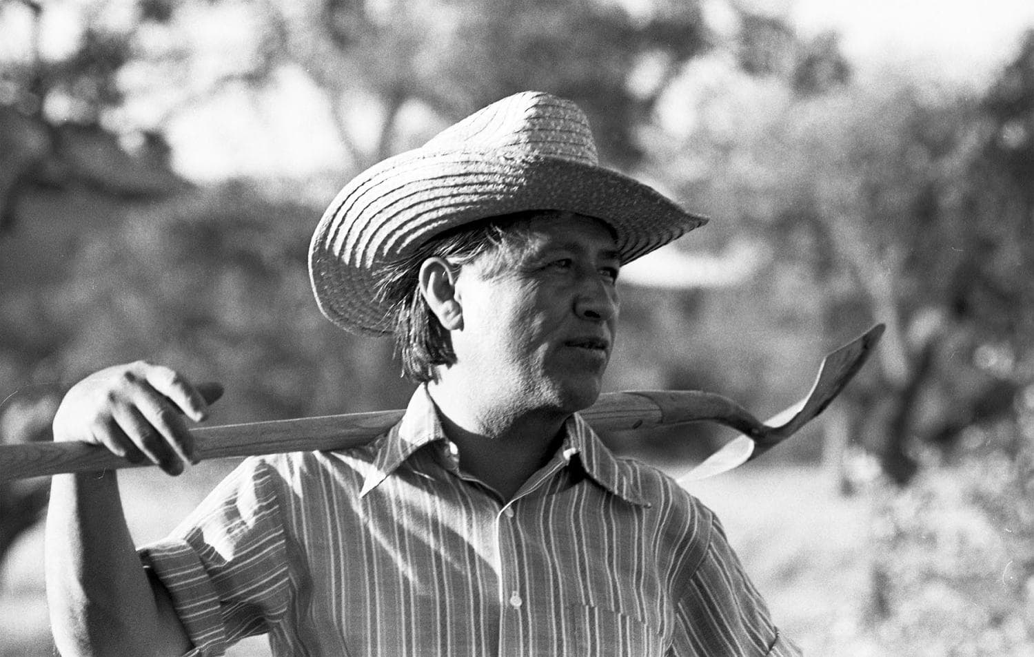 Nationwide Movement to Disavow César Chávez Following Sexual Abuse Allegations