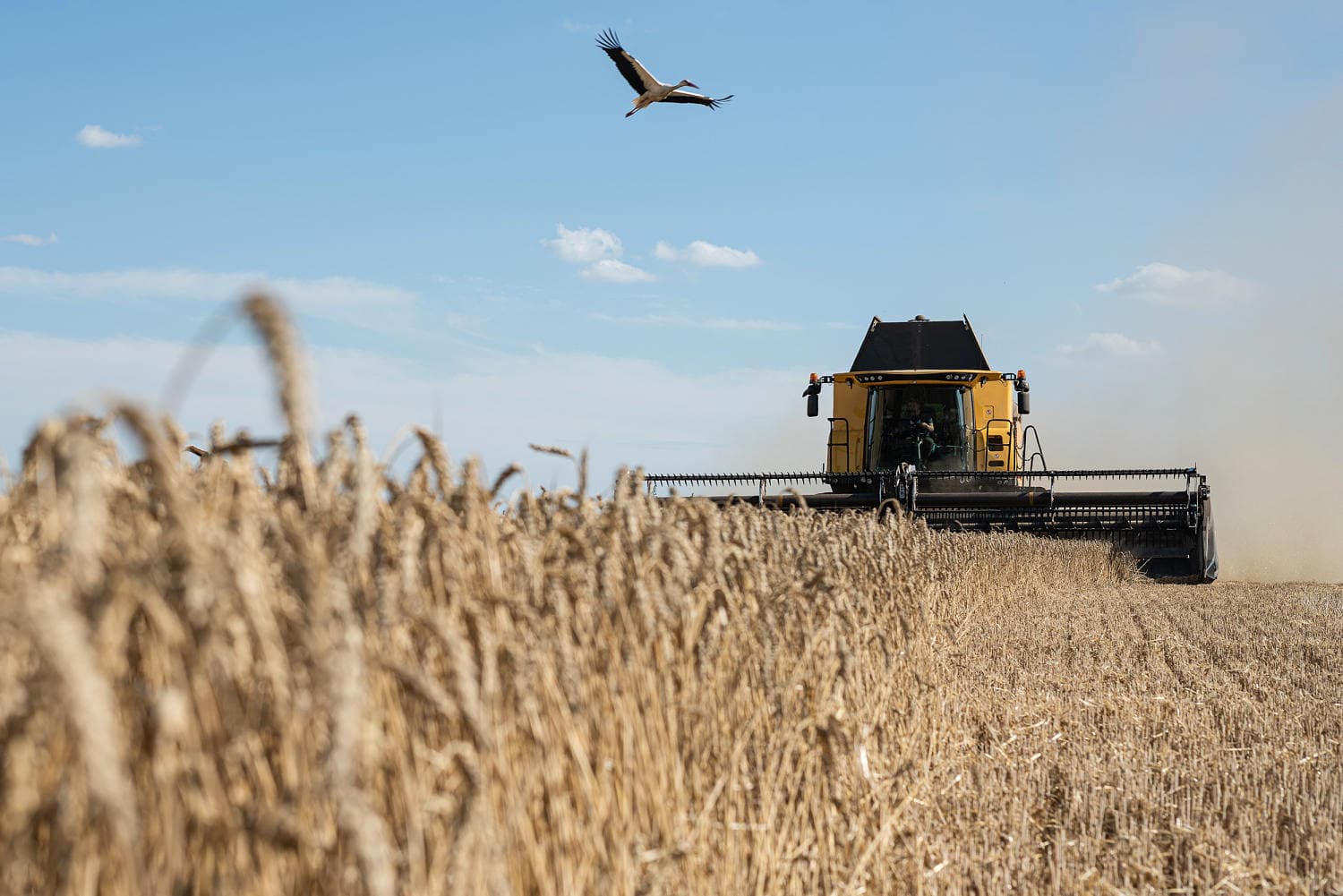 Ukraine and Israel in Diplomatic Clash Over Alleged Stolen Grain Shipments