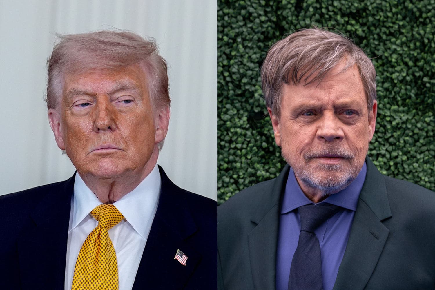 Mark Hamill's AI-generated image of Donald Trump in a grave