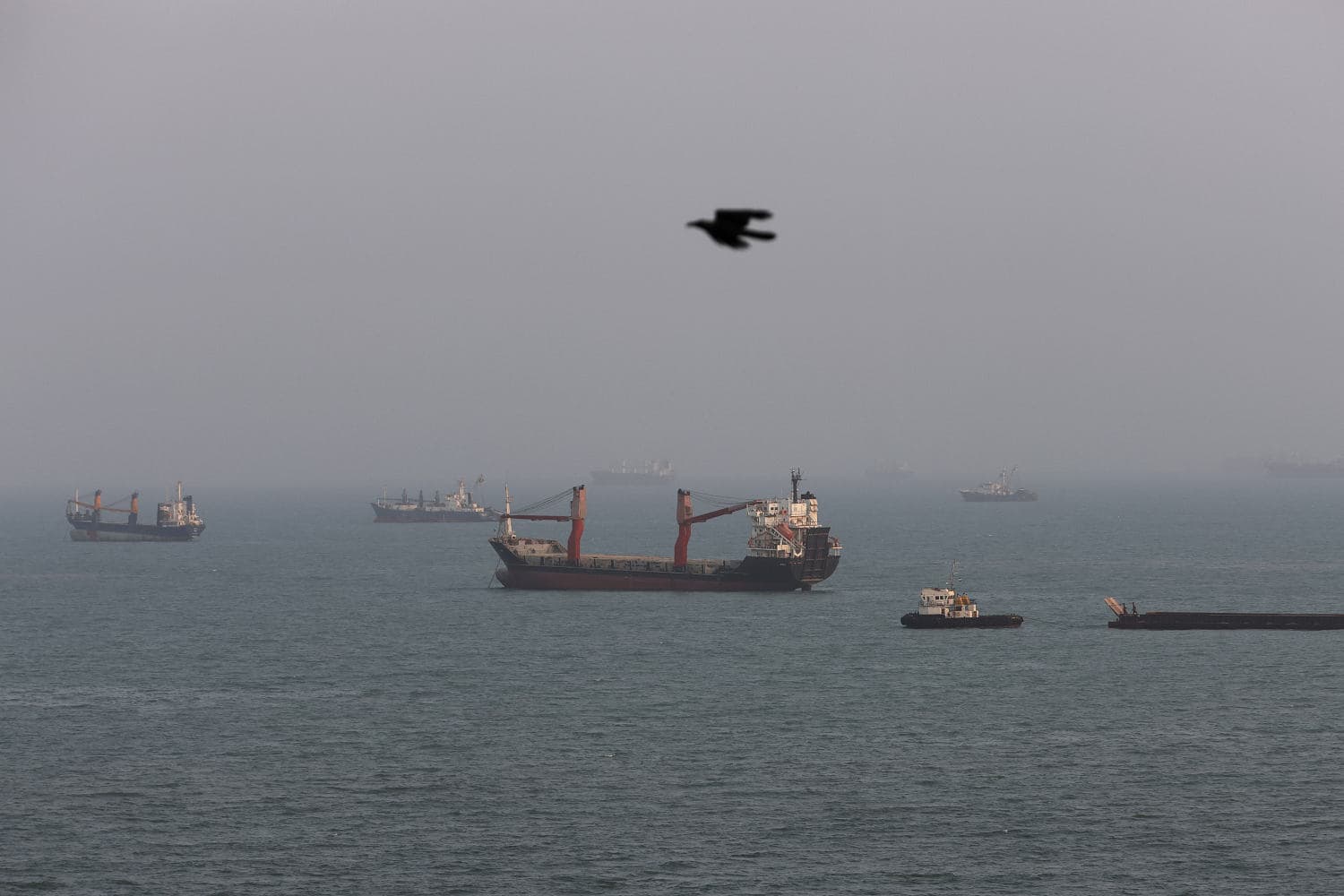 President Trump speaking at a rally about the Strait of Hormuz.