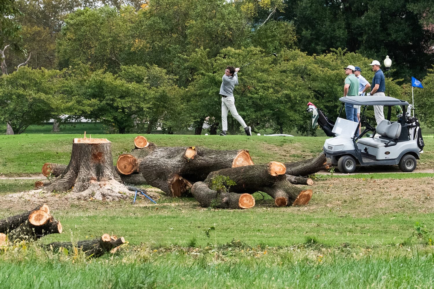 Minimalist graphic highlighting East Potomac Golf Links tree removal dispute and federal court injunction details
