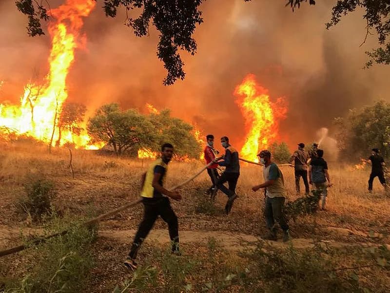 A dramatic scene of wildfires in Algeria, showcasing the urgent climate crisis and its impact on communities.