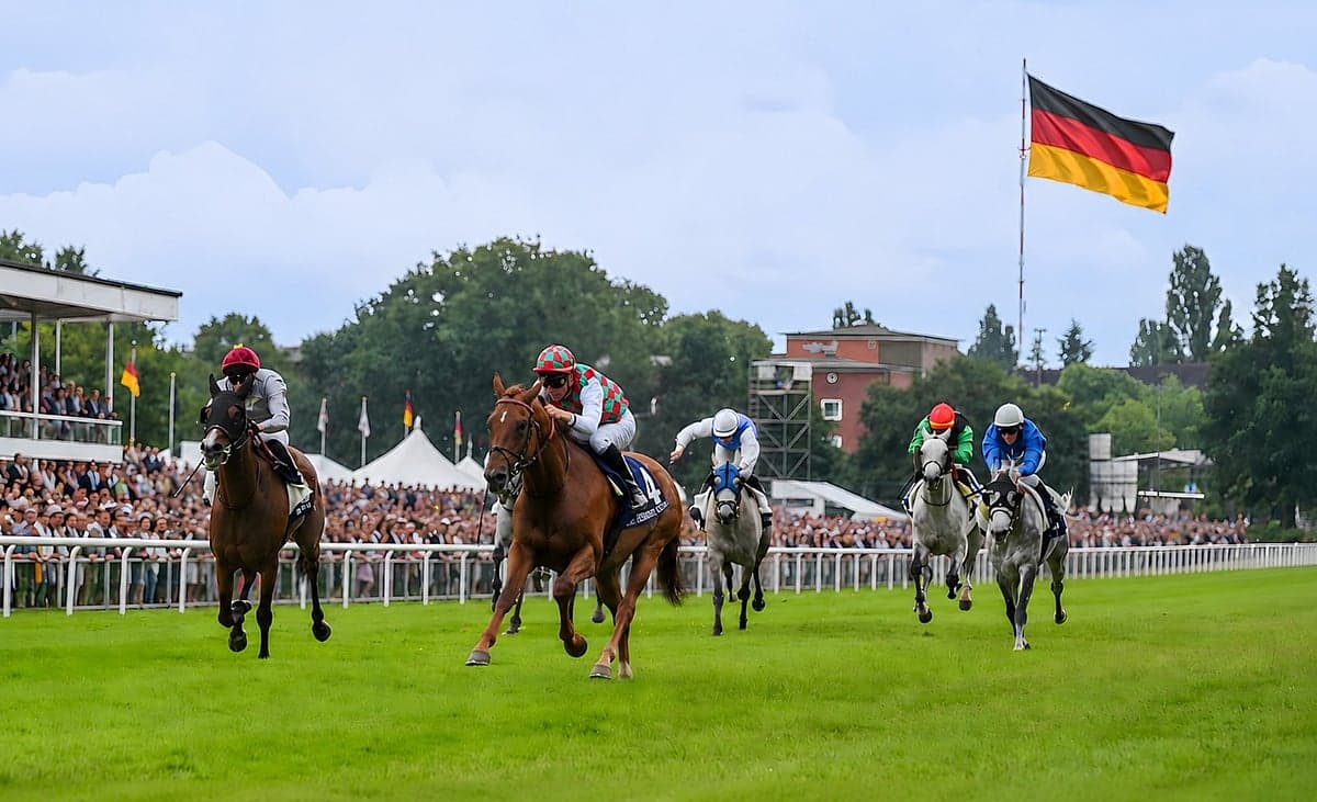Elite Purebred Arabian horses racing at the UAE President's Cup in Hamburg.