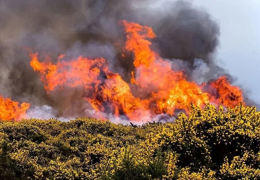 Infographic showing UK military aircraft equipped for wildfire response amid rising incidents.