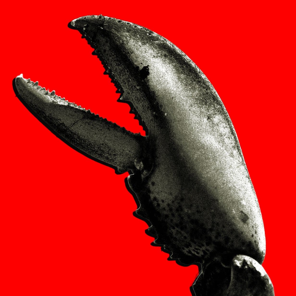 China's OpenClaw AI Framework Sees Rapid Adoption Amid Security Warnings