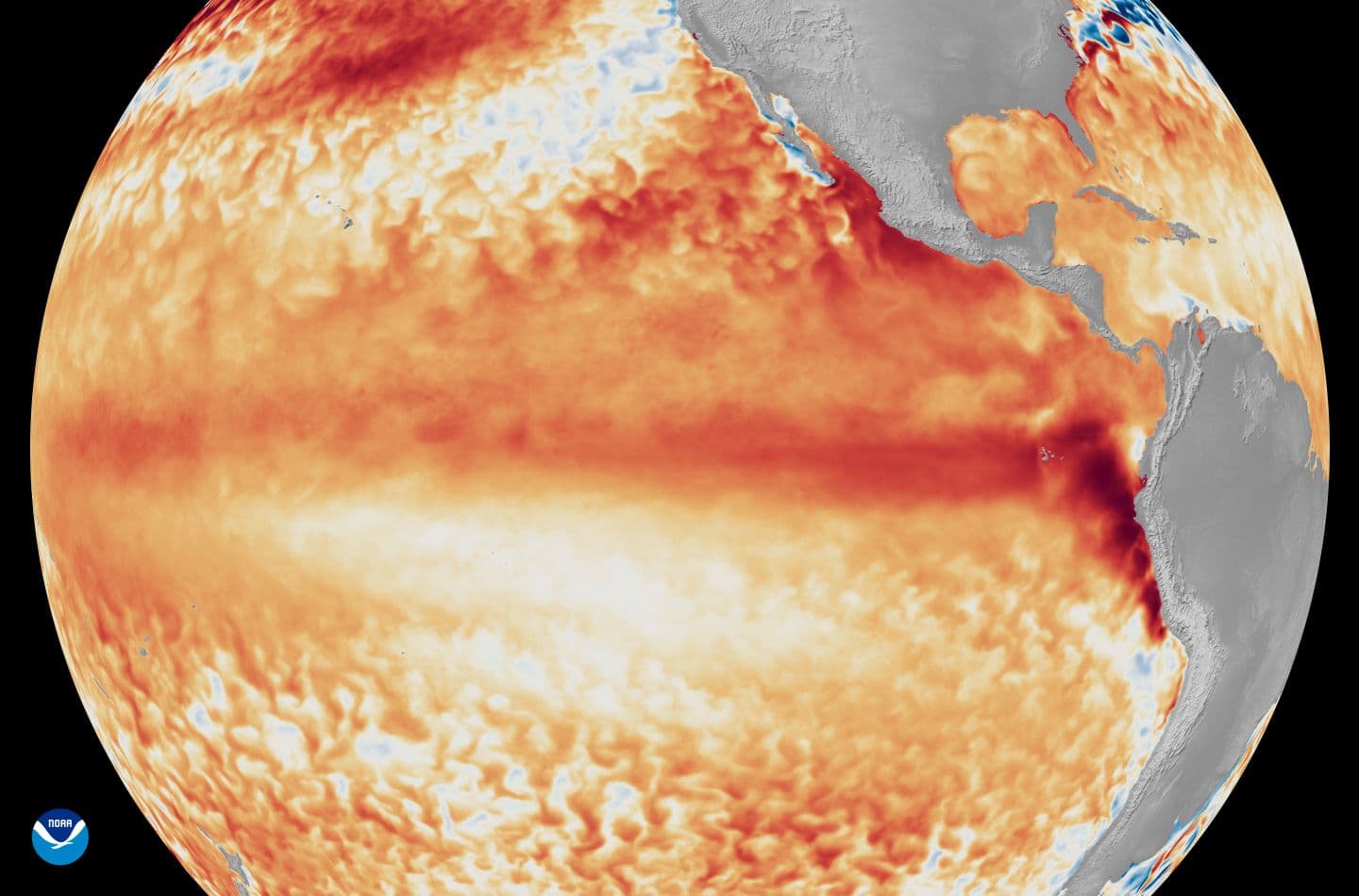 NOAA announcement on the strongest El Niño of the century