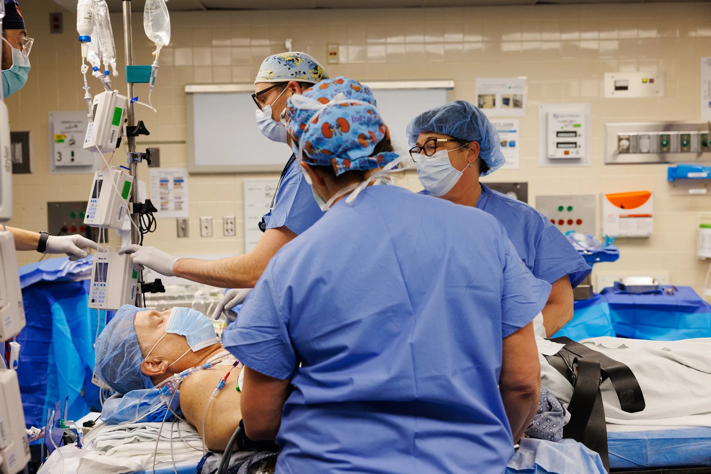 Infographic showing the timeline and impact of the record-breaking pig kidney transplant on organ donation.