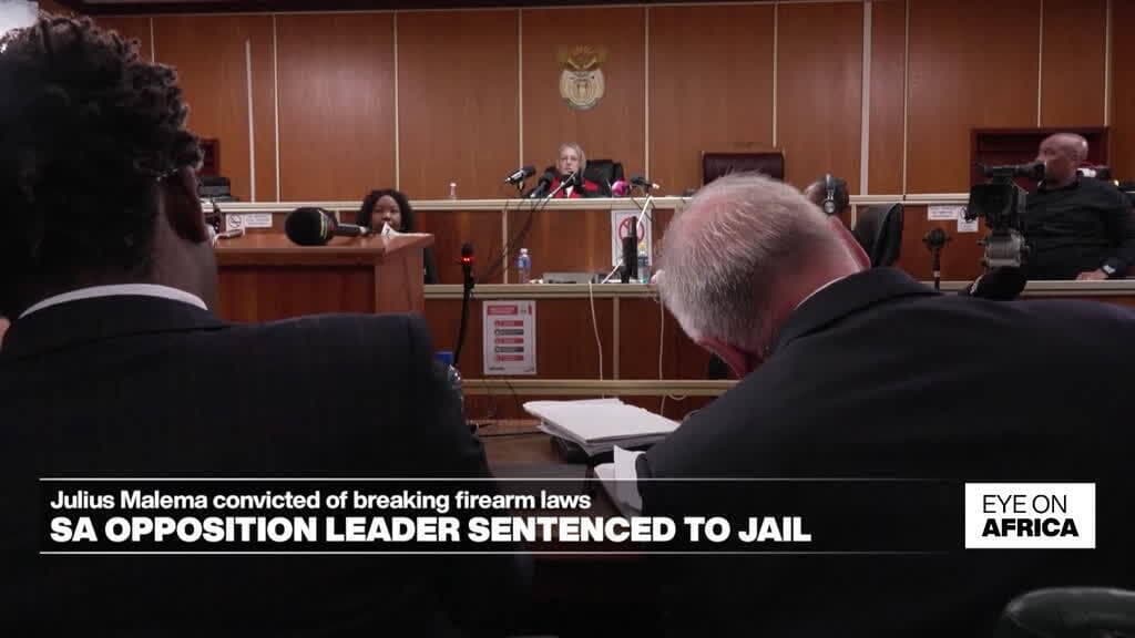 Julius Malema Sentenced to Five Years for Firearm Offences
