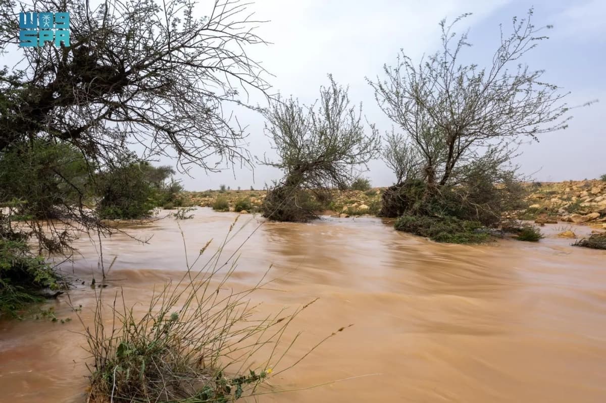 Saudi Arabia Experiences 160% Increase in Rainfall in April 2026