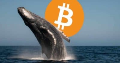 Bitcoin Approaches $72,000 as Whale Takes $80 Million Short Position