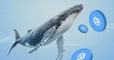 Ethereum market analysis showing whale activities and price impact