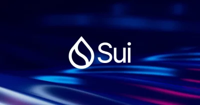 Sui blockchain network outage impact on SUI token value
