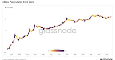 Major Bitcoin holders cease accumulation efforts amid declining demand.