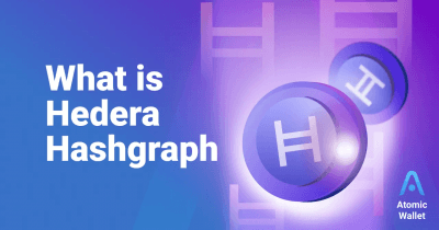 Illustration of the Hedera network exploit and its implications for blockchain security.