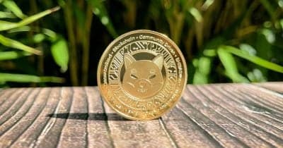 Shiba Inu cryptocurrency price surge analysis