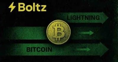 Boltz Bridge logo with a backdrop of cybersecurity imagery