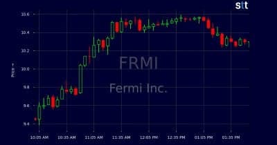 Lee McIntire appointed CEO of Fermi during leadership transition