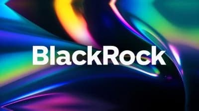 Infographic detailing BlackRock's $300 billion portfolio update and investment strategy shifts.