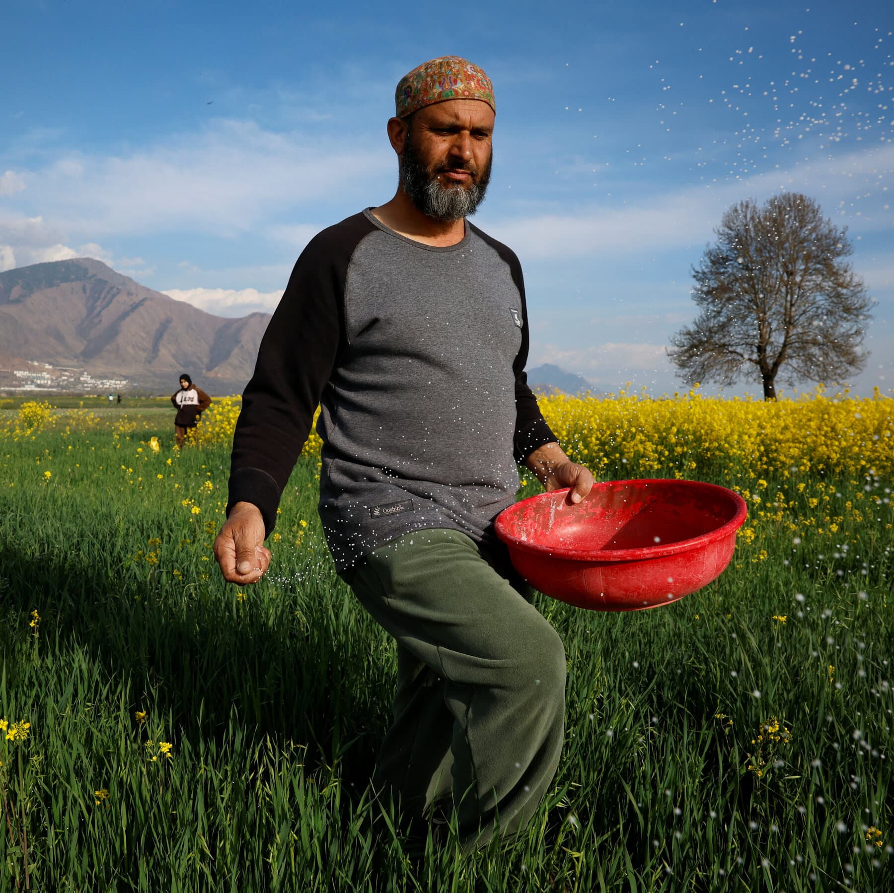 U.S.-Iran War Disrupts Global Fertilizer Supply via Strait of Hormuz