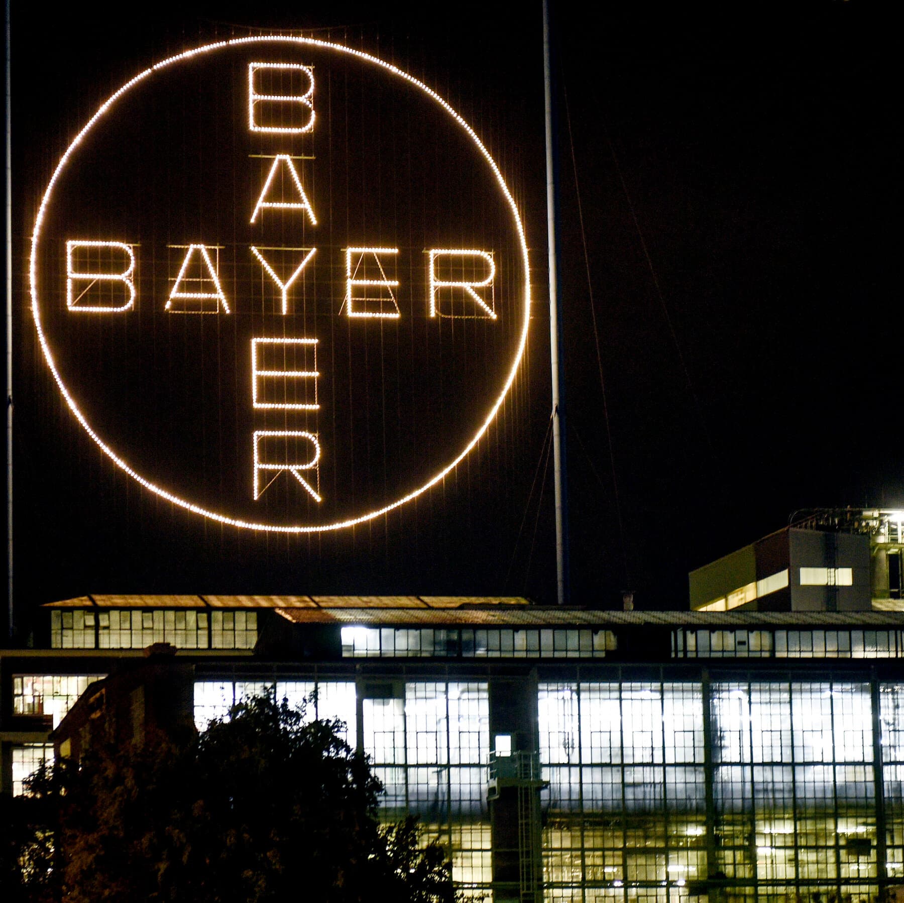 US Supreme Court hears arguments on Bayer's Roundup lawsuits