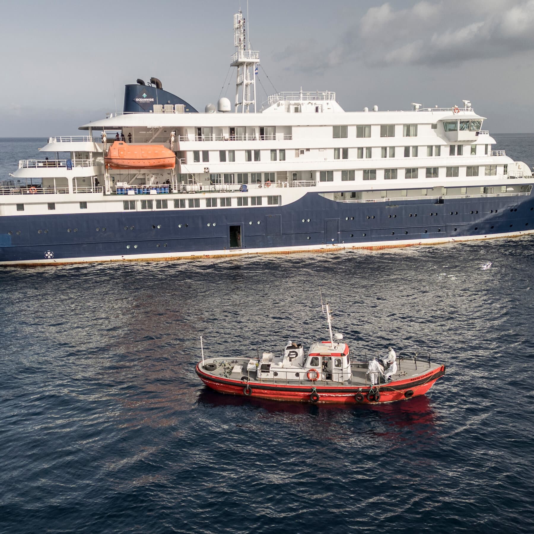 Advancements in Hantavirus Vaccines Accelerated by Recent Cruise Ship Outbreak