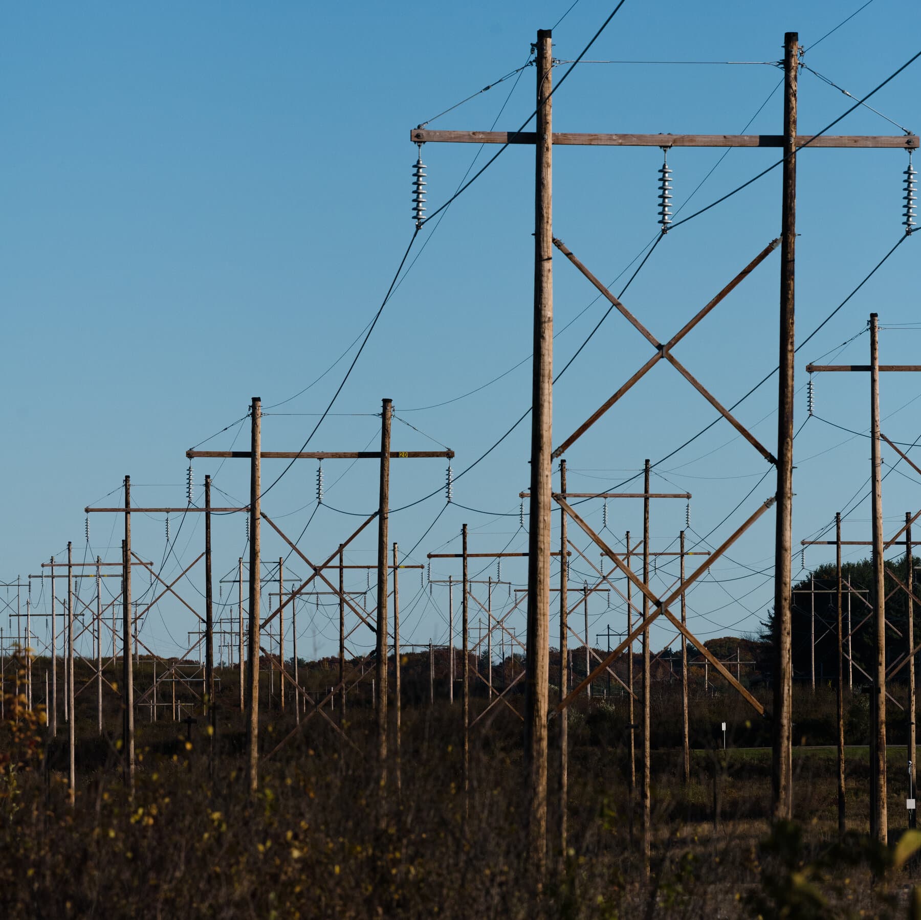 NextEra Energy and Dominion Energy logos with a financial graph background