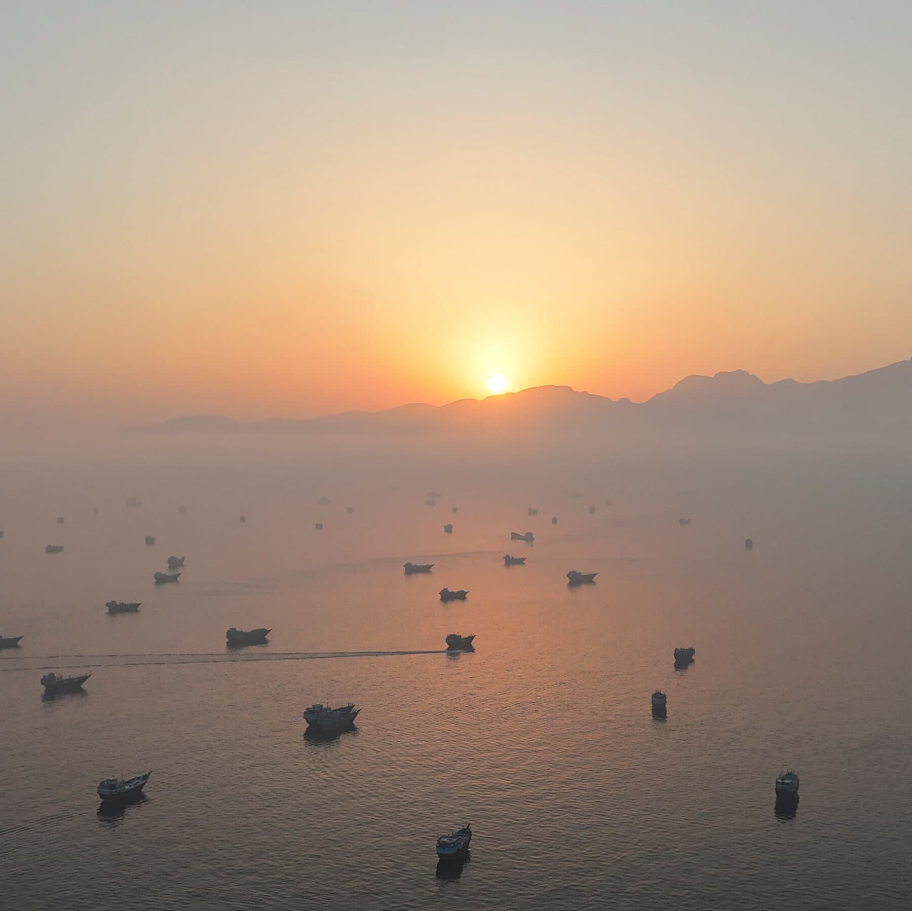 President Trump announces the reopening of the Strait of Hormuz, impacting global oil markets.