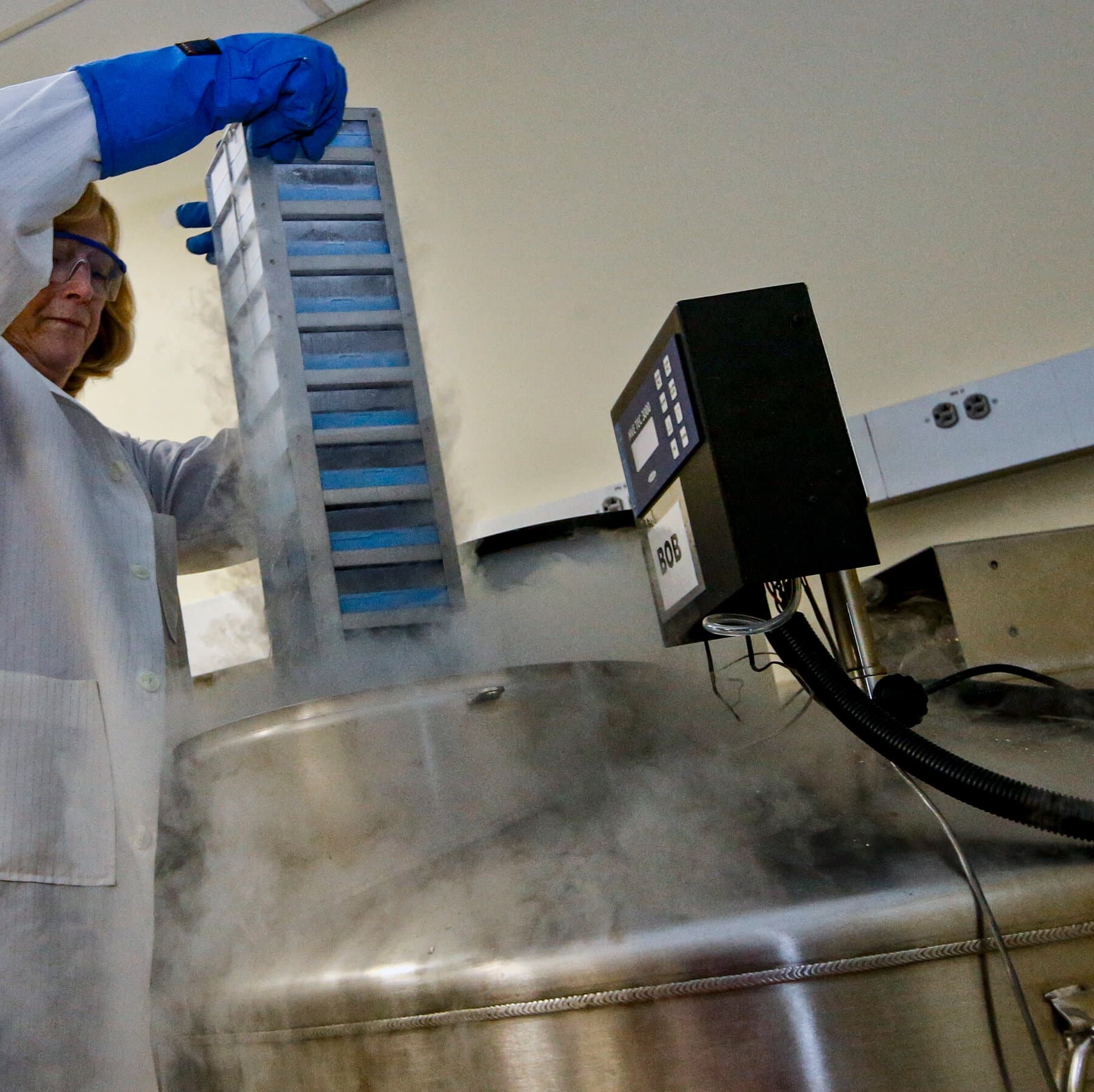 Colossal Biosciences BioVault initiative for endangered species DNA preservation
