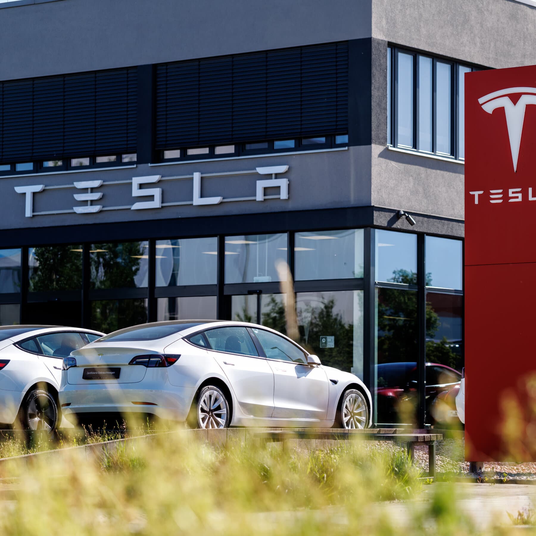 Tesla vehicles on display showcasing the brand's electric models.