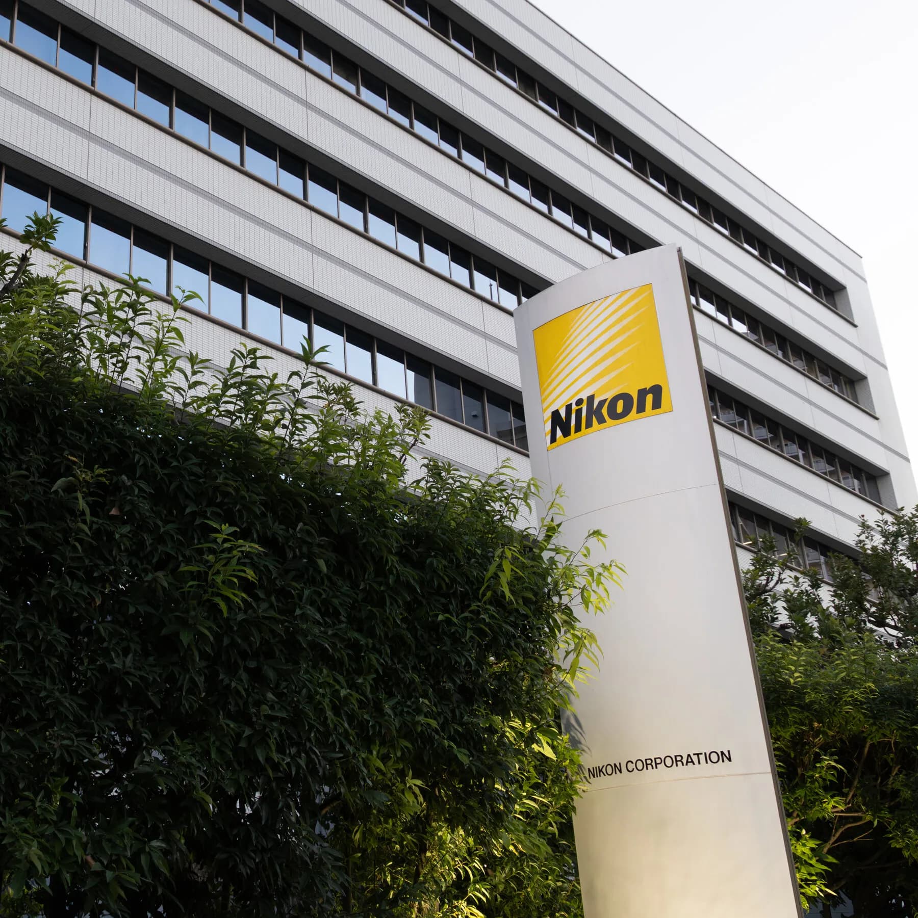 Infographic showing the timeline of Nikon's disqualification of a contest winner for AI use in scientific imaging.