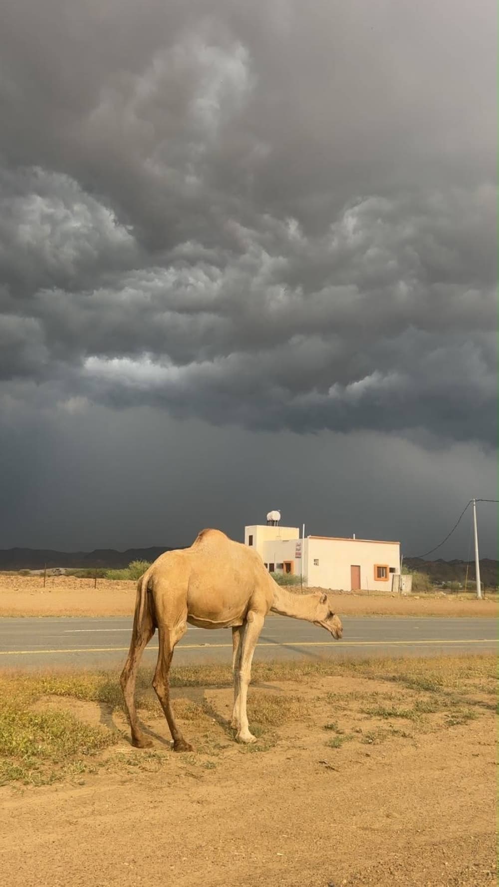 Bold typography graphic reading 4 RED ALERTS detailing the Saudi Arabia thunderstorms impact